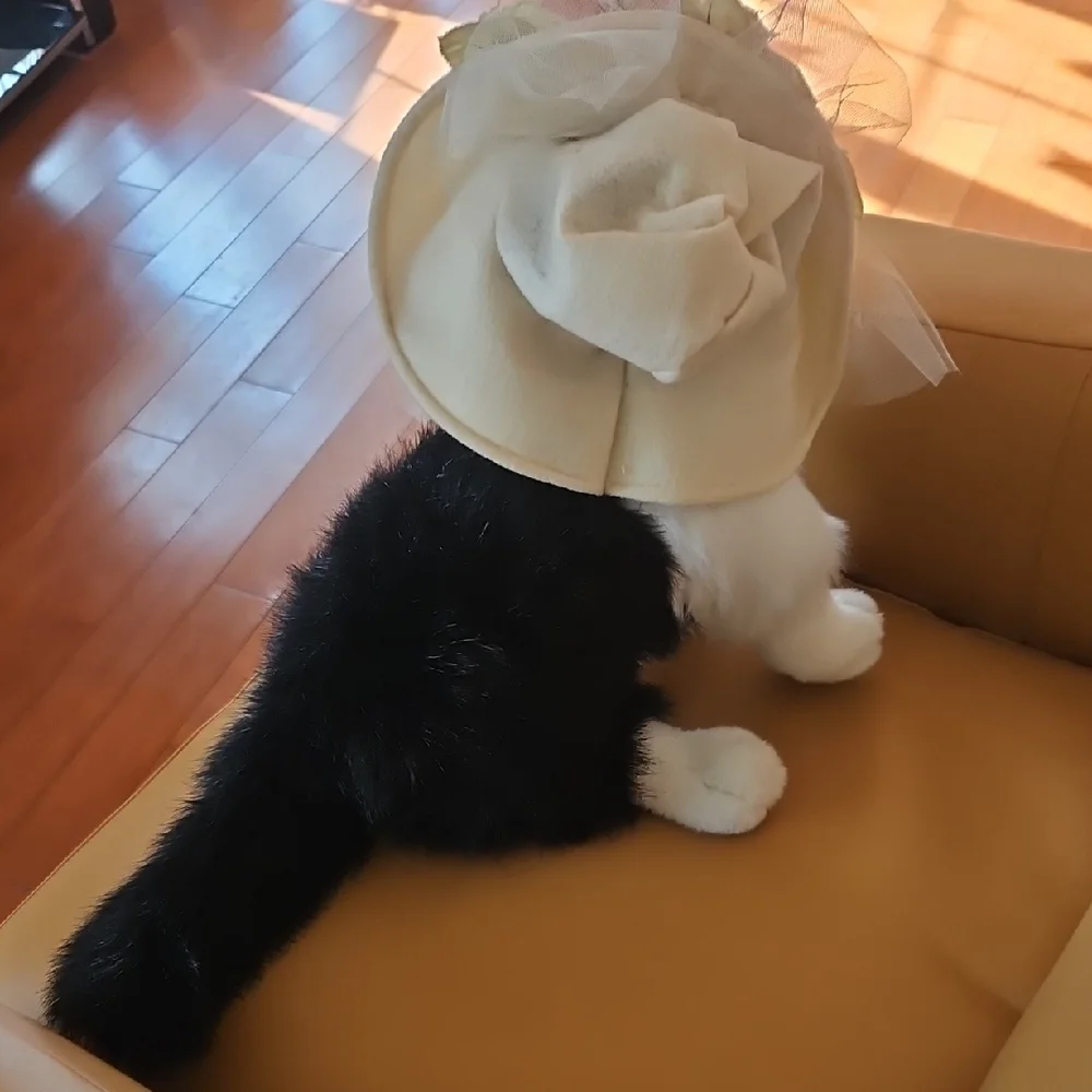 Black and White Plush Cat with flowered hat.